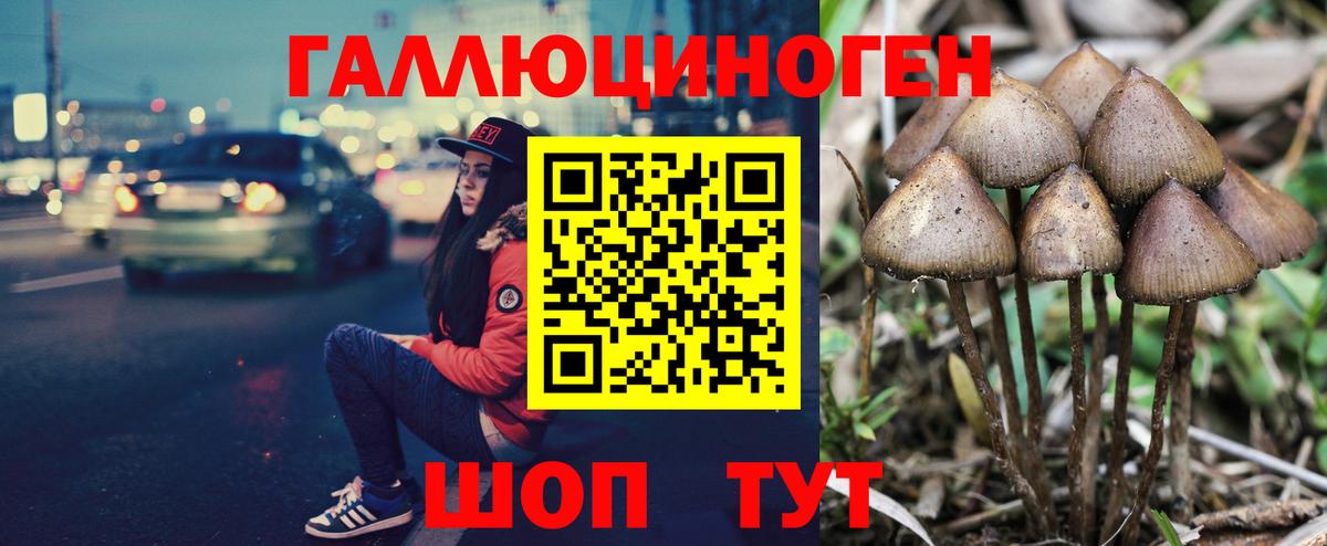 сколько стоит  Псилоцибиновые грибы GOLDEN TEACHER  Вход с VPN  Минеральные Воды 