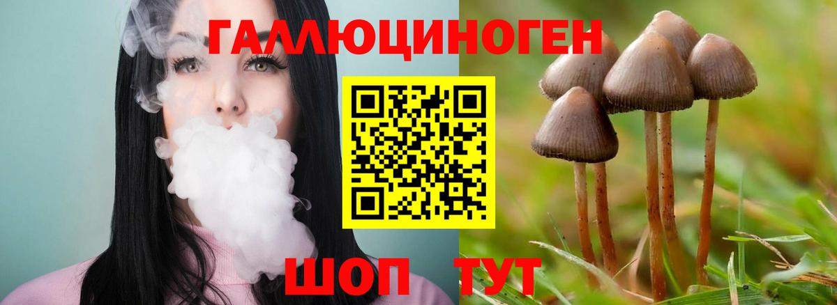 Псилоцибиновые грибы ЛСД Минеральные Воды